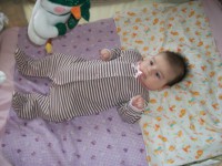 /album/galerie-photos/a08-12-2010-004r-jpg1/